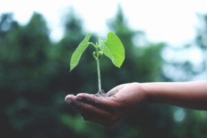 Potenzialentfaltung pexels-akilmazumder-1072824